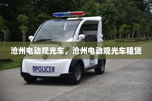 沧州电动观光车，沧州电动观光车租赁